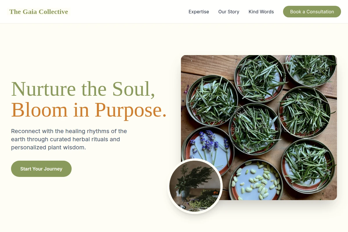 Moss Herbalism
